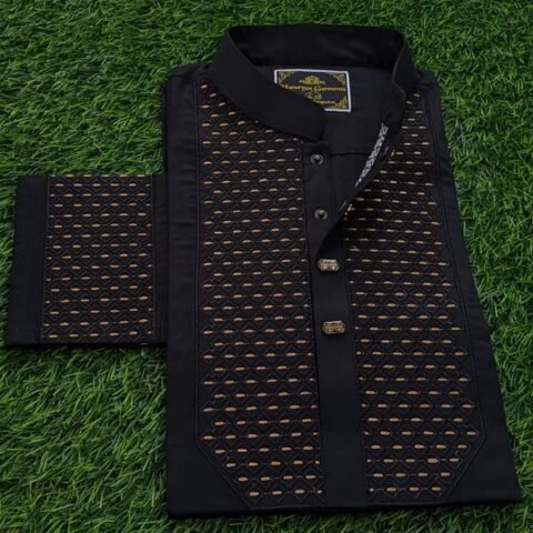 Premium Indian Tencel Cotton Panjabi B1