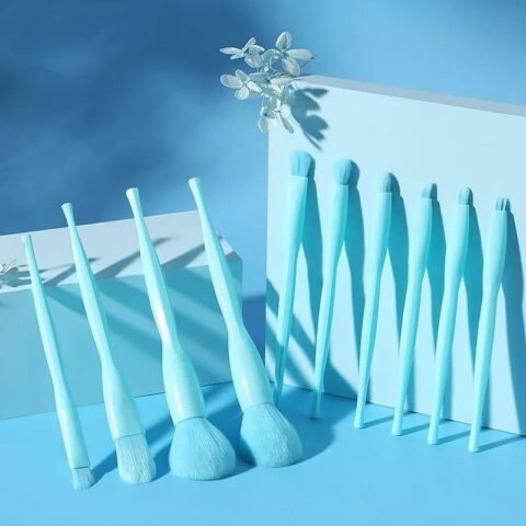 Color full Make Up brush (10pcs Set)