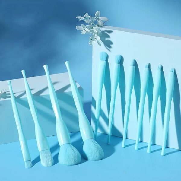 Color full Make Up brush (10pcs Set)